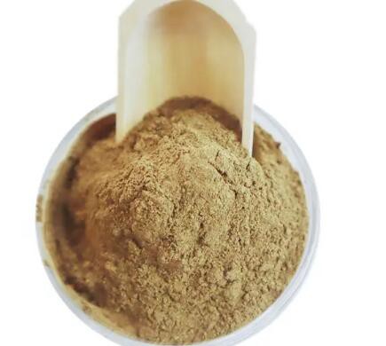 2023032015055519e568e83af347b7a8f5a18434077f7d 2023032015055519e568e83af347b7a8f5a18434077f7d