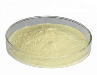 20230322141437cfd20828d8994cc99aa2debd0364abc5 20230322141437cfd20828d8994cc99aa2debd0364abc5