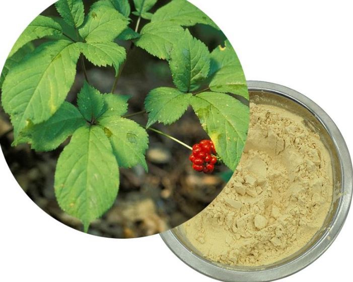 Ginseng Stem And Leaf Total Saponins06198907066