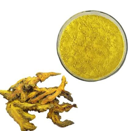 Rhizoma Coptidis Extract7d6e09df 7b80 415f 8791 E8688a46d004
