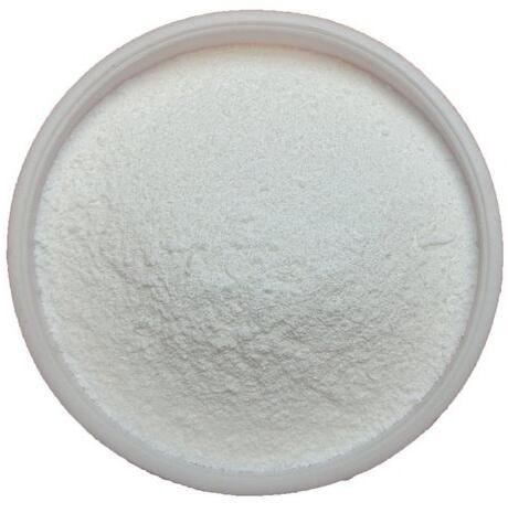 Bifidobacterium Breve Probiotic52501223432