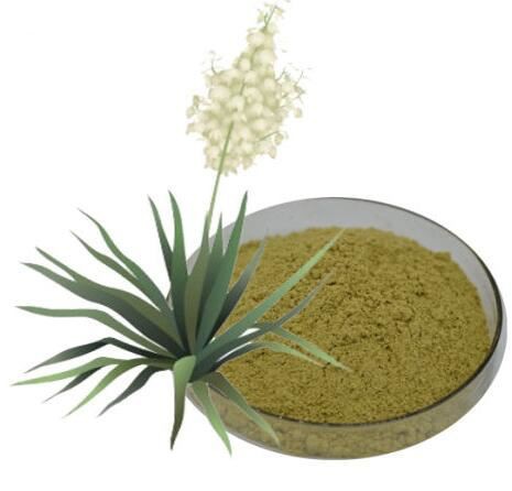 yucca-powder54318306517 Yucca Powder54318306517
