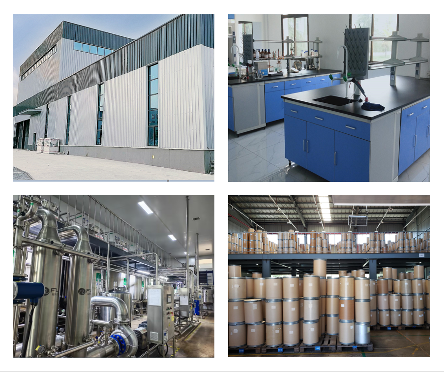 greenagribio'nun fabrikası