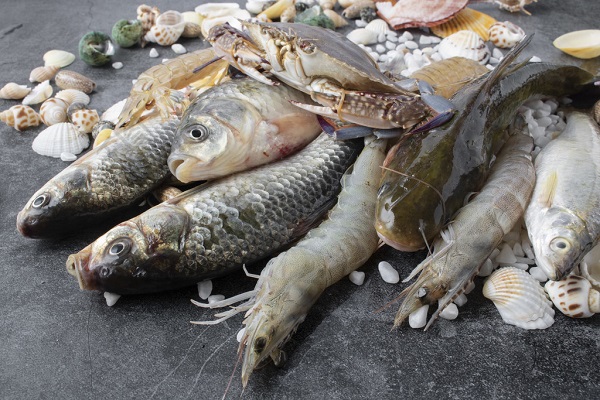 Chlorella Tozu Kullanımları