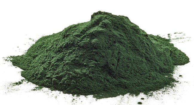 Organik Chlorella Tozu