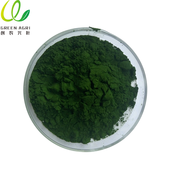 Organik Chlorella Tozu