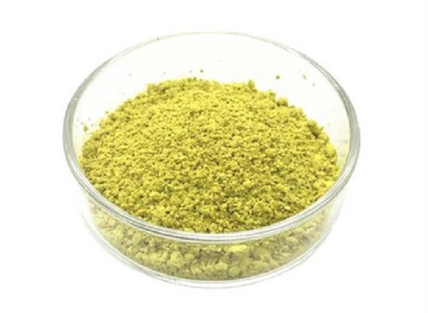 Kediler İçin Rutin