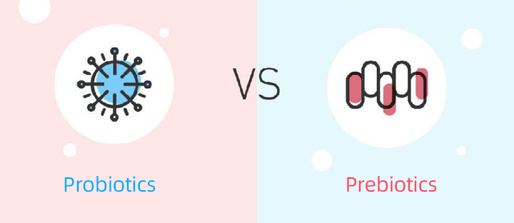 Probiyotik ve Prebiyotiklerin