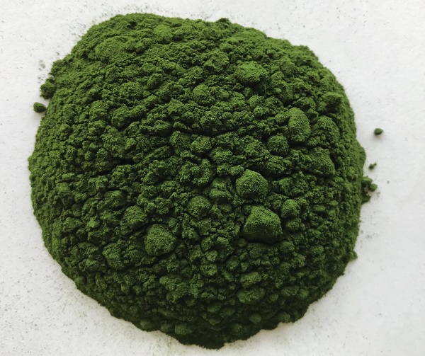 Chlorella Tozu Üreticisi