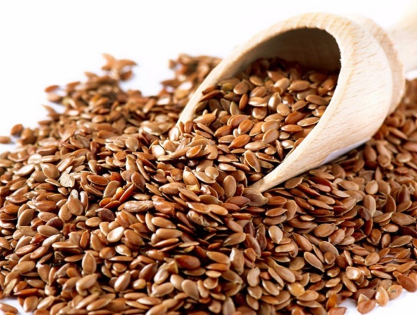 organik keten tohumu