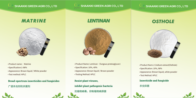 GROWTECH ANTALYA'da Buluşalım