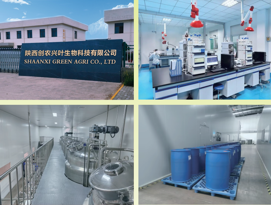 GROWTECH ANTALYA'da Buluşalım