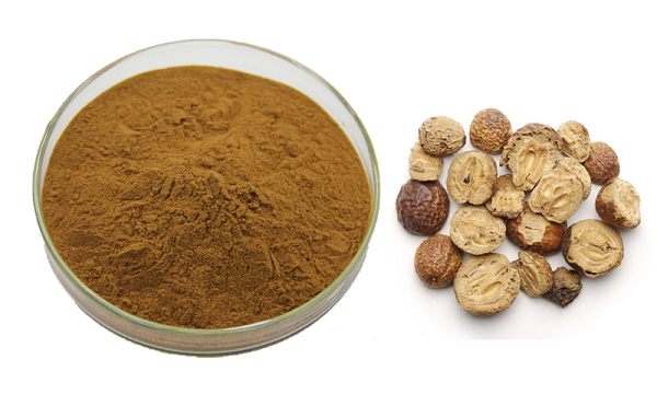 Toptan Toosendanin Tozu