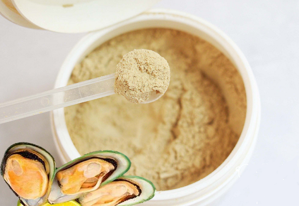 Yeşil Dudaklı Midye Tozu