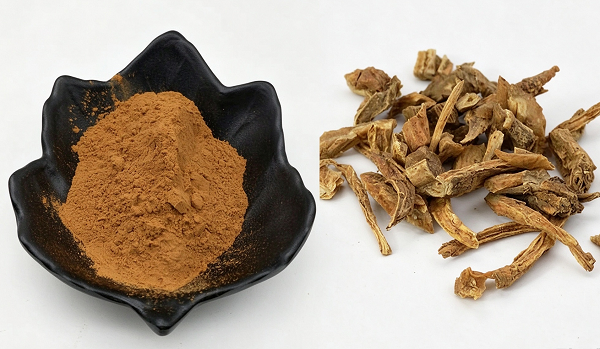 Stemona Japonica Özü Tedarikçisi